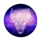 signe astrologie