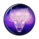 Cabochon Résine - signe astrologie