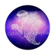 signe astrologie