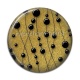 Cabochon Résine - fond boule