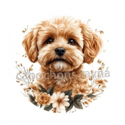 chien