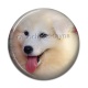 Cabochon Résine - chien