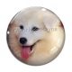 Cabochon Verre - chien