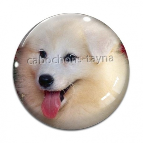 Cabochon Verre - chien