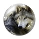 Cabochon Verre - loup