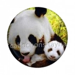 panda