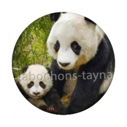 panda