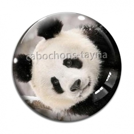 Cabochon Verre - panda