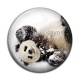 Cabochon Résine - panda