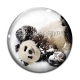 Cabochon Verre - panda