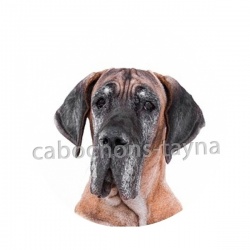 chien