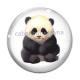 Cabochon Verre - panda