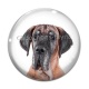 Cabochon Verre - chien