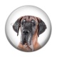 Cabochon Résine - chien