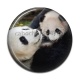 Cabochon Résine - panda