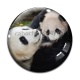 Cabochon Verre - panda