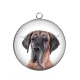 Pendentif Cabochon Argent - chien