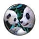 Cabochon Résine - panda
