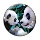 Cabochon Verre - panda