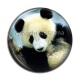 Cabochon Résine - panda