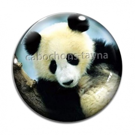 Cabochon Verre - panda