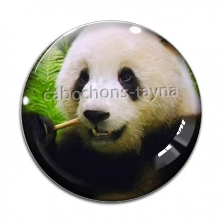Cabochon Verre - panda