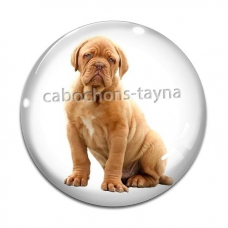 Cabochon Verre - chien