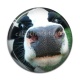 Cabochon Résine - vache