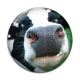 Cabochon Verre - vache