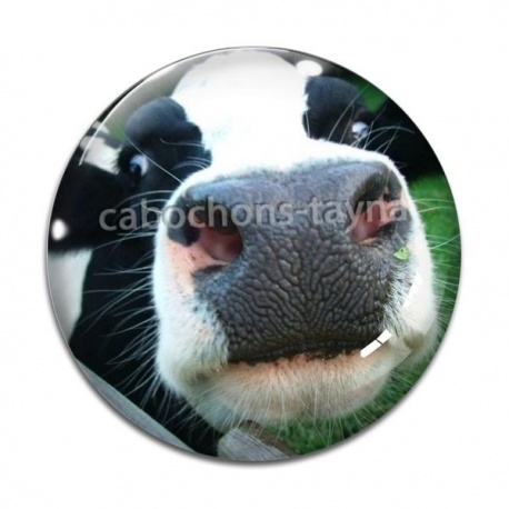 Cabochon Verre - vache