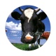 vache