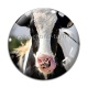 Cabochon Verre - vache