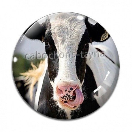Cabochon Verre - vache