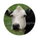 vache