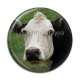 Cabochon Résine - vache