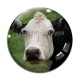Cabochon Verre - vache
