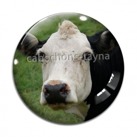 Cabochon Verre - vache