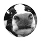 vache