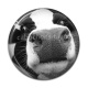 Cabochon Résine - vache