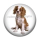Cabochon Résine - chien
