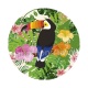 toucan