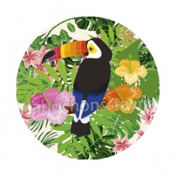 toucan