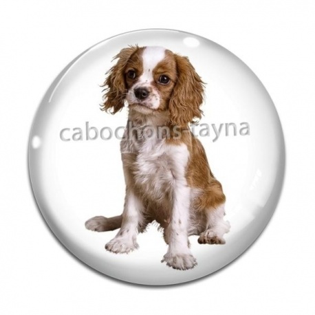 Cabochon Verre - chien