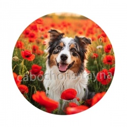 chien coquelicot