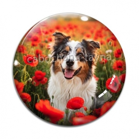 Cabochon Verre - chien coquelicot