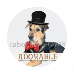 chien