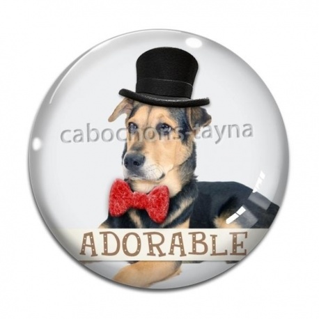 Cabochon Verre - chien