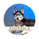 chien