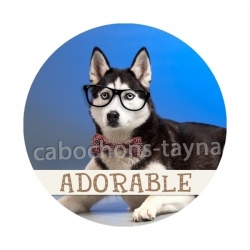 chien
