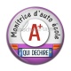 Cabochon Résine - monitrice d'auto école qui déchire
